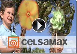 Videocelsamax